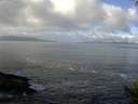 ./images/koeye/fitz-hugh/20140930/fitz-hugh20140930_104002.jpg