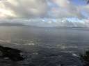 ./images/koeye/fitz-hugh/20140930/fitz-hugh20140930_104503.jpg