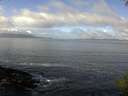 ./images/koeye/fitz-hugh/20140930/fitz-hugh20140930_105502.jpg