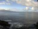 ./images/koeye/fitz-hugh/20140930/fitz-hugh20140930_112502.jpg