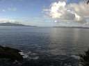 ./images/koeye/fitz-hugh/20140930/fitz-hugh20140930_115003.jpg