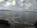 ./images/koeye/fitz-hugh/20140930/fitz-hugh20140930_120002.jpg