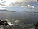 ./images/koeye/fitz-hugh/20140930/fitz-hugh20140930_121002.jpg