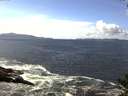./images/koeye/fitz-hugh/20140930/fitz-hugh20140930_132002.jpg