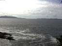 ./images/koeye/fitz-hugh/20140930/fitz-hugh20140930_140002.jpg