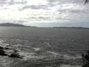 ./images/koeye/fitz-hugh/20140930/fitz-hugh20140930_142001.jpg