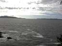./images/koeye/fitz-hugh/20140930/fitz-hugh20140930_145501.jpg