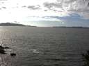 ./images/koeye/fitz-hugh/20140930/fitz-hugh20140930_151002.jpg