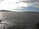 ./images/koeye/fitz-hugh/20140930/fitz-hugh20140930_151502.jpg