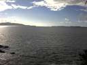 ./images/koeye/fitz-hugh/20140930/fitz-hugh20140930_154003.jpg