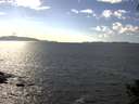 ./images/koeye/fitz-hugh/20140930/fitz-hugh20140930_155503.jpg