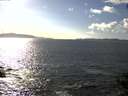 ./images/koeye/fitz-hugh/20140930/fitz-hugh20140930_160002.jpg
