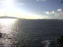 ./images/koeye/fitz-hugh/20140930/fitz-hugh20140930_160502.jpg