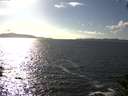 ./images/koeye/fitz-hugh/20140930/fitz-hugh20140930_161002.jpg