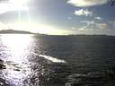 ./images/koeye/fitz-hugh/20140930/fitz-hugh20140930_161502.jpg