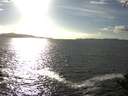 ./images/koeye/fitz-hugh/20140930/fitz-hugh20140930_163501.jpg
