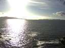./images/koeye/fitz-hugh/20140930/fitz-hugh20140930_164002.jpg