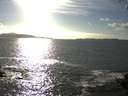 ./images/koeye/fitz-hugh/20140930/fitz-hugh20140930_164501.jpg