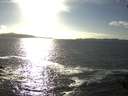 ./images/koeye/fitz-hugh/20140930/fitz-hugh20140930_165002.jpg