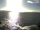 ./images/koeye/fitz-hugh/20140930/fitz-hugh20140930_170502.jpg