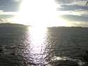 ./images/koeye/fitz-hugh/20140930/fitz-hugh20140930_172503.jpg