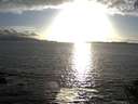./images/koeye/fitz-hugh/20140930/fitz-hugh20140930_181003.jpg