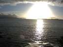 ./images/koeye/fitz-hugh/20140930/fitz-hugh20140930_182002.jpg