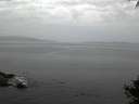 ./images/koeye/fitz-hugh/20141001/fitz-hugh20141001_071503.jpg
