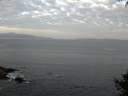 ./images/koeye/fitz-hugh/20141001/fitz-hugh20141001_080002.jpg