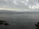 ./images/koeye/fitz-hugh/20141001/fitz-hugh20141001_082001.jpg