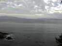 ./images/koeye/fitz-hugh/20141001/fitz-hugh20141001_082502.jpg