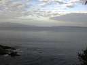 ./images/koeye/fitz-hugh/20141001/fitz-hugh20141001_084503.jpg