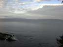 ./images/koeye/fitz-hugh/20141001/fitz-hugh20141001_085503.jpg