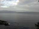 ./images/koeye/fitz-hugh/20141001/fitz-hugh20141001_090503.jpg
