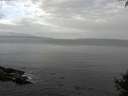 ./images/koeye/fitz-hugh/20141001/fitz-hugh20141001_091002.jpg