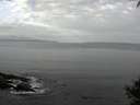 ./images/koeye/fitz-hugh/20141001/fitz-hugh20141001_091502.jpg