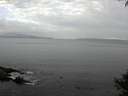 ./images/koeye/fitz-hugh/20141001/fitz-hugh20141001_092002.jpg