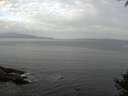 ./images/koeye/fitz-hugh/20141001/fitz-hugh20141001_092502.jpg