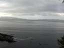 ./images/koeye/fitz-hugh/20141001/fitz-hugh20141001_094002.jpg