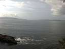 ./images/koeye/fitz-hugh/20141001/fitz-hugh20141001_131002.jpg
