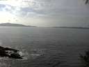 ./images/koeye/fitz-hugh/20141001/fitz-hugh20141001_150502.jpg