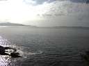 ./images/koeye/fitz-hugh/20141001/fitz-hugh20141001_153501.jpg