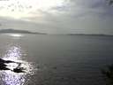 ./images/koeye/fitz-hugh/20141001/fitz-hugh20141001_161002.jpg