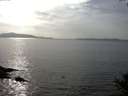 ./images/koeye/fitz-hugh/20141001/fitz-hugh20141001_162002.jpg