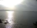 ./images/koeye/fitz-hugh/20141001/fitz-hugh20141001_164502.jpg