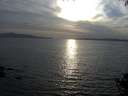 ./images/koeye/fitz-hugh/20141001/fitz-hugh20141001_180002.jpg