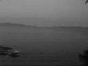 ./images/koeye/fitz-hugh/20141002/fitz-hugh20141002_065503.jpg