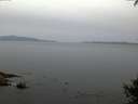 ./images/koeye/fitz-hugh/20141002/fitz-hugh20141002_072003.jpg