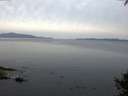 ./images/koeye/fitz-hugh/20141002/fitz-hugh20141002_075503.jpg