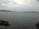 ./images/koeye/fitz-hugh/20141002/fitz-hugh20141002_114003.jpg